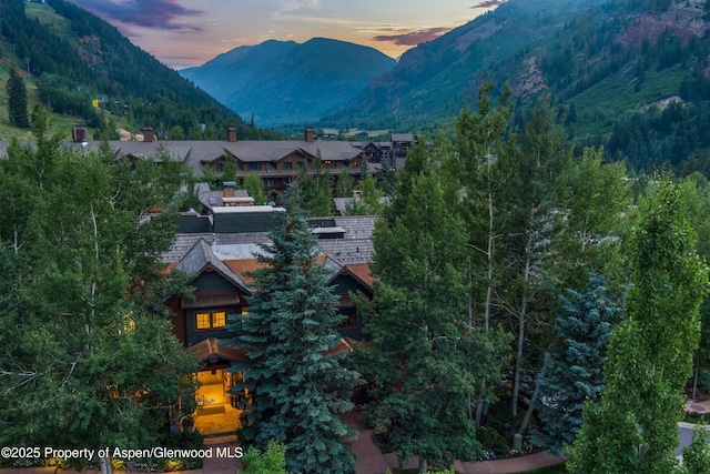 87 Thunderbowl Ln, Aspen, CO 81611 - photo 91
