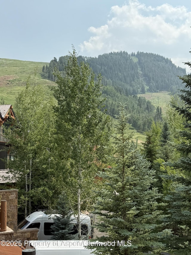 87 Thunderbowl Ln, Aspen, CO 81611 - view of mountain backdrop featuring a forest