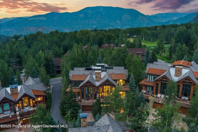 87 Thunderbowl Ln, Aspen, CO 81611 - photo 93