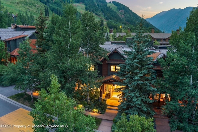 87 Thunderbowl Ln, Aspen, CO 81611 - photo 94