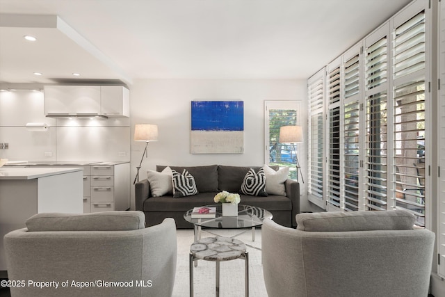 800 E Hopkins Ave Unit A-3, Aspen, CO 81611 - living area featuring recessed lighting