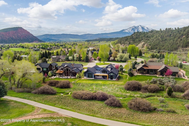 31 Royal Coachman, Carbondale, CO 81623 - photo 44