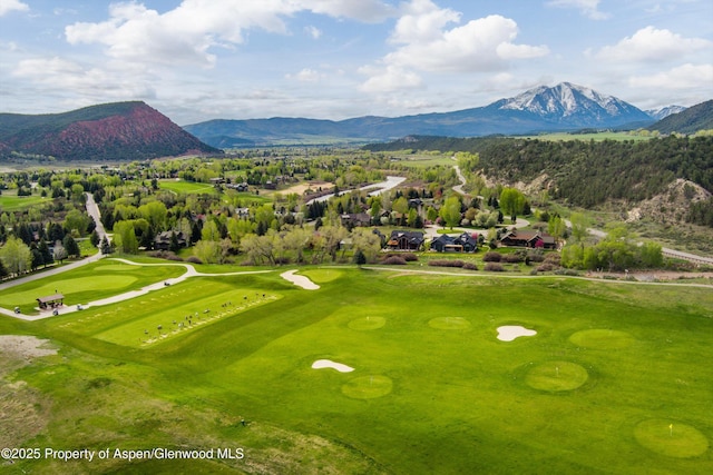 31 Royal Coachman, Carbondale, CO 81623 - photo 42