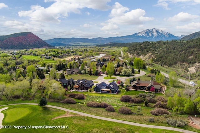 31 Royal Coachman, Carbondale, CO 81623 - photo 3