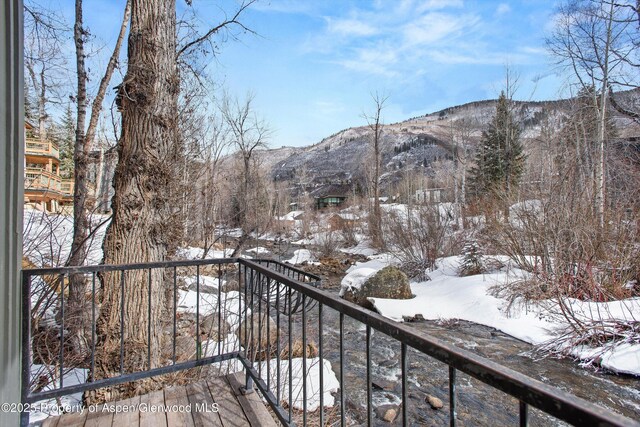 1050 Waters Ave Unit 9, Aspen, CO 81611 - photo 2