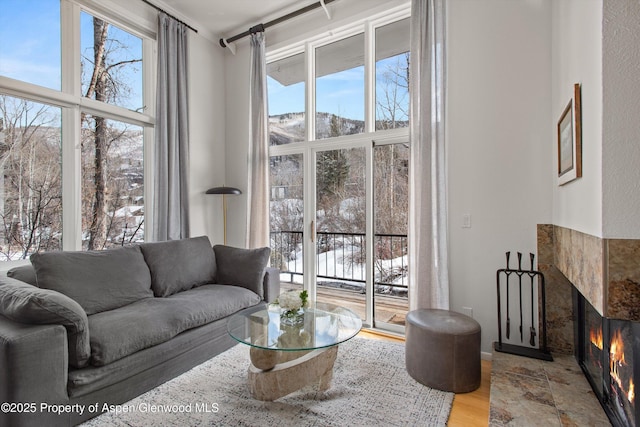 1050 Waters Ave Unit 9, Aspen, CO 81611 - photo 3