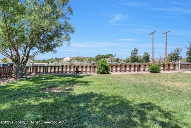 1137 Rose St, Craig, CO 81625 - view of fenced backyard