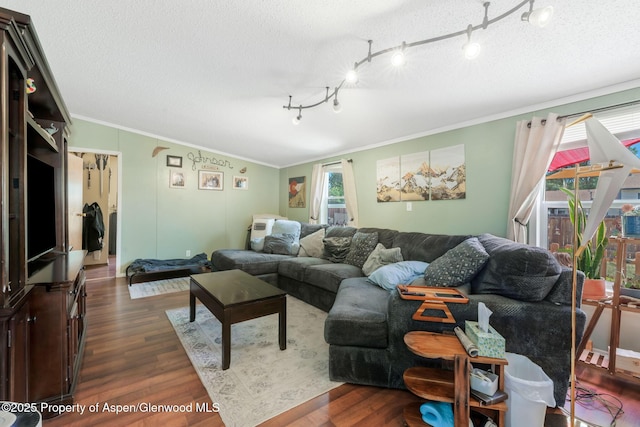 1137 Rose St, Craig, CO 81625 - living room featuring dark wood-style flooring, ornamental molding, and a textured ceiling