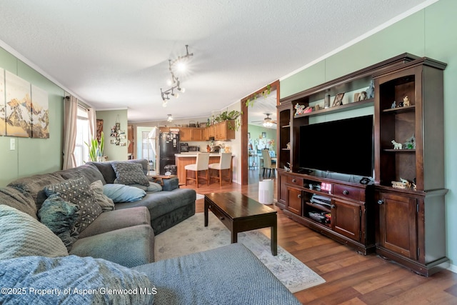 1137 Rose St, Craig, CO 81625 - living room featuring ornamental molding, wood finished floors, a textured ceiling, a ceiling fan, and track lighting
