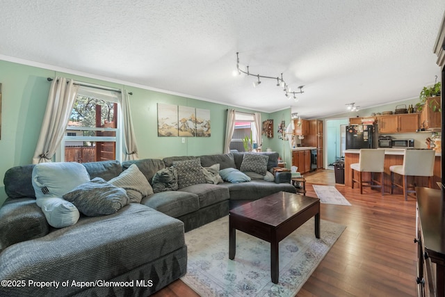1137 Rose St, Craig, CO 81625 - living area featuring a textured ceiling, healthy amount of natural light, light wood finished floors, and ornamental molding