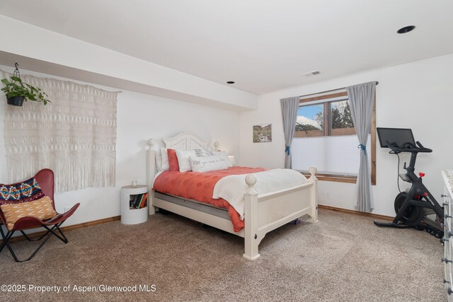 1468 W Main St, Carbondale, CO 81623 - bedroom with carpet floors and baseboards