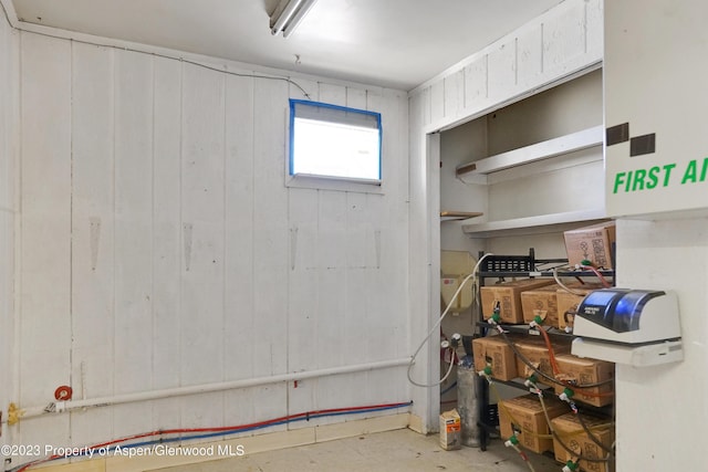 basement with wooden walls