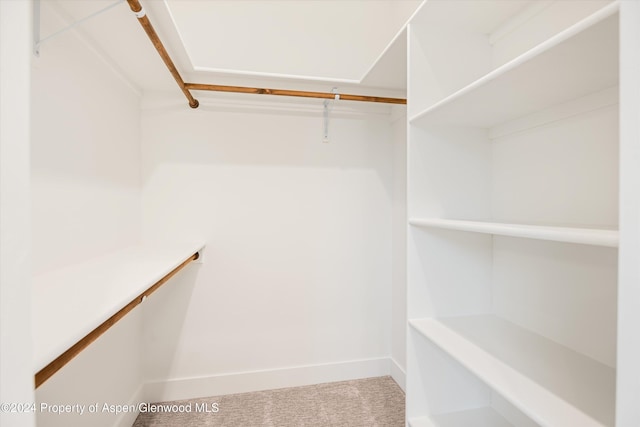 walk in closet featuring carpet flooring