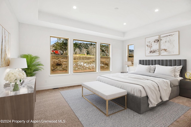 bedroom with a tray ceiling and light colored carpet