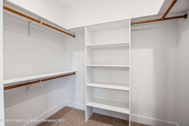 walk in closet featuring carpet flooring