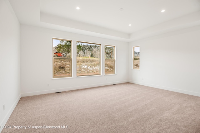 unfurnished room featuring light colored carpet and a raised ceiling