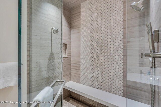 700 W Smuggler St, Aspen, CO 81611 - full bathroom with a shower stall