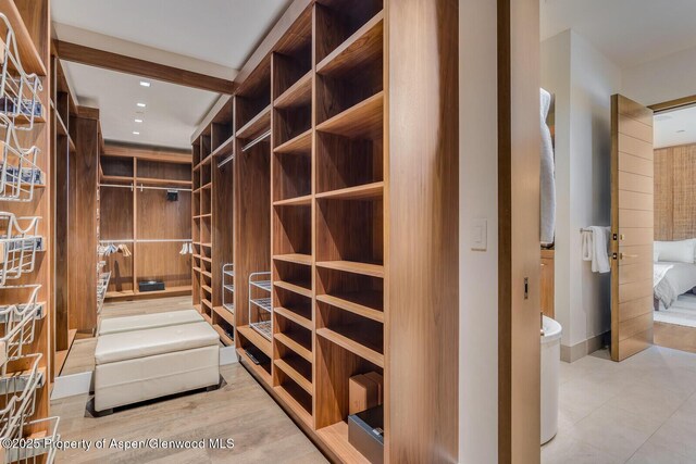 700 W Smuggler St, Aspen, CO 81611 - view of spacious closet