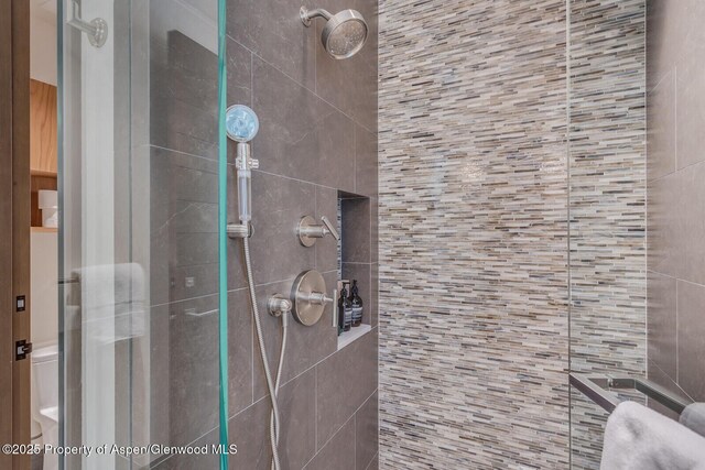 700 W Smuggler St, Aspen, CO 81611 - full bath featuring a stall shower
