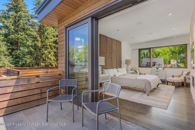 700 W Smuggler St, Aspen, CO 81611 - view of bedroom