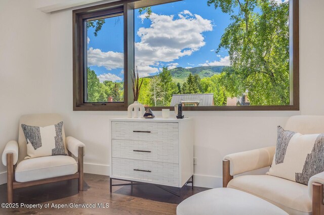 700 W Smuggler St, Aspen, CO 81611 - living area featuring wood finished floors and a mountain view