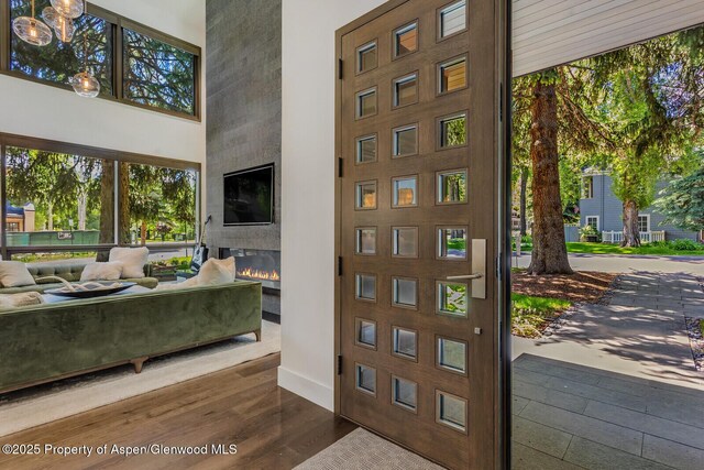700 W Smuggler St, Aspen, CO 81611 - bedroom featuring dark wood-type flooring, recessed lighting, and a tray ceiling