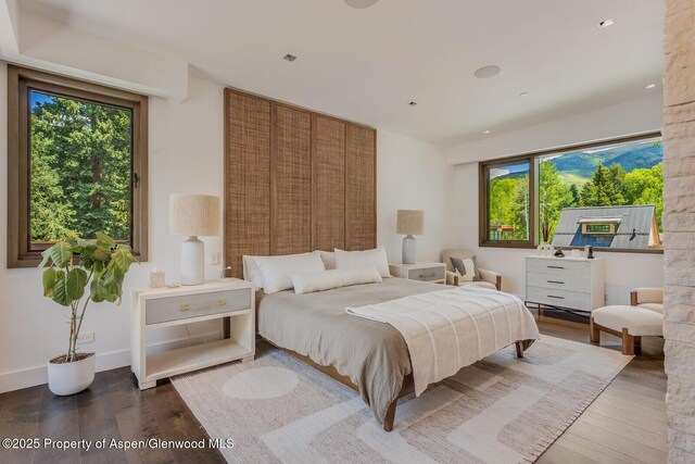 700 W Smuggler St, Aspen, CO 81611 - bedroom with multiple windows and wood finished floors