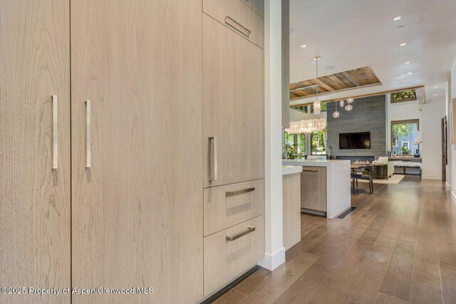700 W Smuggler St, Aspen, CO 81611 - view of closet