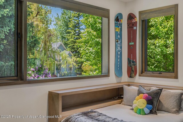 700 W Smuggler St, Aspen, CO 81611 - view of sitting room