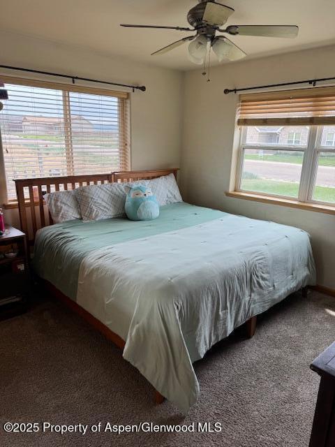 3695 W W 6th St, Craig, CO 81625 - carpeted bedroom with multiple windows and ceiling fan