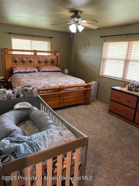3695 W W 6th St, Craig, CO 81625 - bedroom with carpet flooring, multiple windows, a textured ceiling, ceiling fan, and baseboards