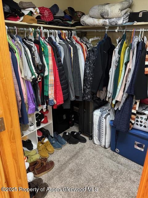 3695 W W 6th St, Craig, CO 81625 - walk in closet featuring carpet
