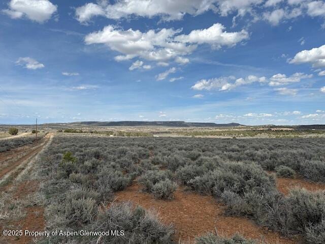 12765 Bs Rd, Glade Park, CO 81523 - photo 4