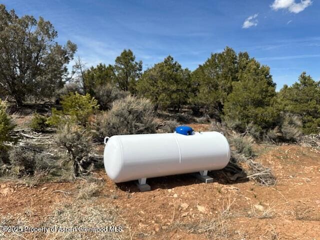 12765 Bs Rd, Glade Park, CO 81523 - photo 3