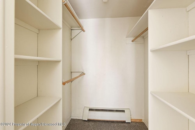 spacious closet featuring carpet flooring and a baseboard radiator