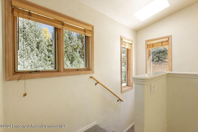 stairway with a wealth of natural light and lofted ceiling with skylight