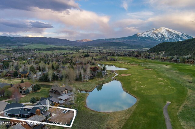 1229 Heritage Dr, Carbondale, CO 81623 - photo 1