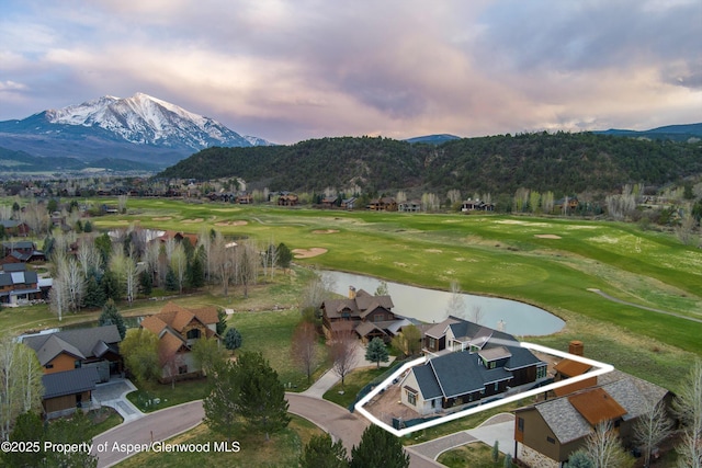 1229 Heritage Dr, Carbondale, CO 81623 - photo 4