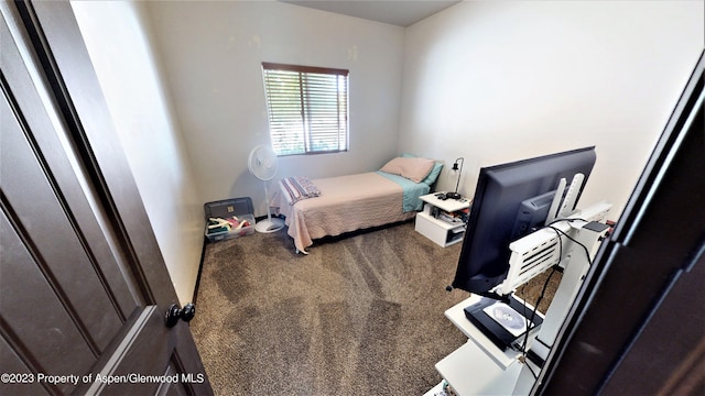 bedroom featuring carpet floors