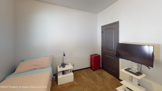 bedroom with dark colored carpet