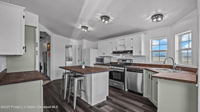 160 Mustang Mesa Trl, Rifle, CO 81650 - kitchen with appliances with stainless steel finishes, butcher block countertops, under cabinet range hood, a breakfast bar, and dark wood-type flooring