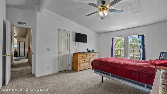 160 Mustang Mesa Trl, Rifle, CO 81650 - carpeted bedroom featuring lofted ceiling and ceiling fan