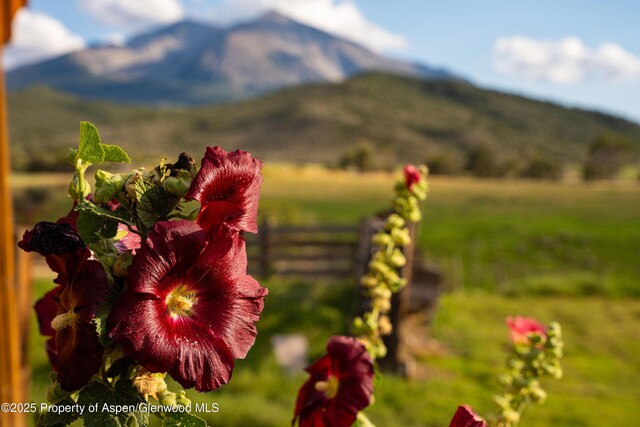 1644 Prince Creek Rd, Carbondale, CO 81623 - photo 68