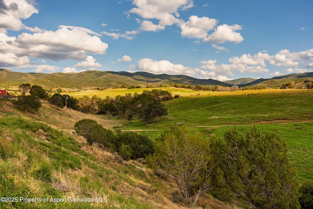 1644 Prince Creek Rd, Carbondale, CO 81623 - photo 34