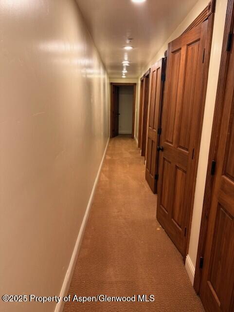 805 Blake Ave Unit 1, Glenwood Springs, CO 81601 - photo 4