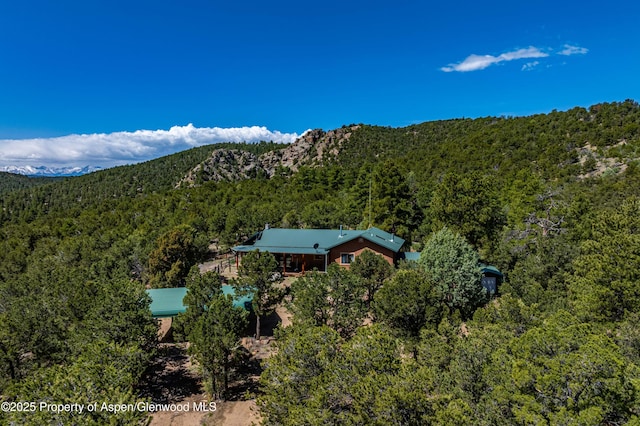 701/700 Bella Vista Ln, Cotopaxi, CO 81223 - mountain view featuring a forest