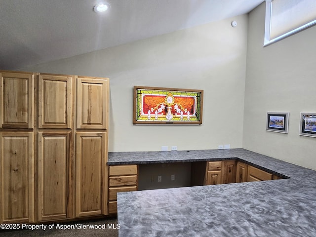 175 Midland Ave Unit 4, Basalt, CO 81621 - unfurnished bedroom with vaulted ceiling, built in study area, and carpet floors