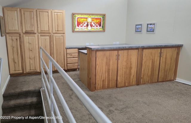175 Midland Ave Unit 4, Basalt, CO 81621 - bar area featuring carpet and baseboards