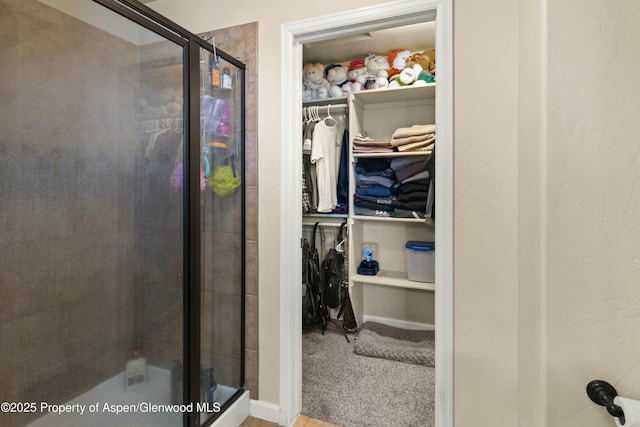 120 Harris Ln, Parachute, CO 81635 - bathroom with baseboards, a stall shower, and a walk in closet