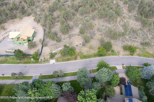 3859 Crystal Bridge Dr, Carbondale, CO 81623
